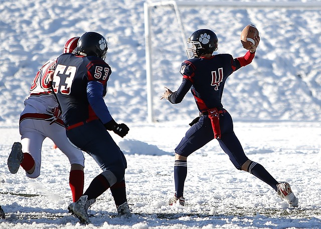 南美的一大 南美的一大