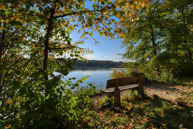 我们进入状 我们进入状