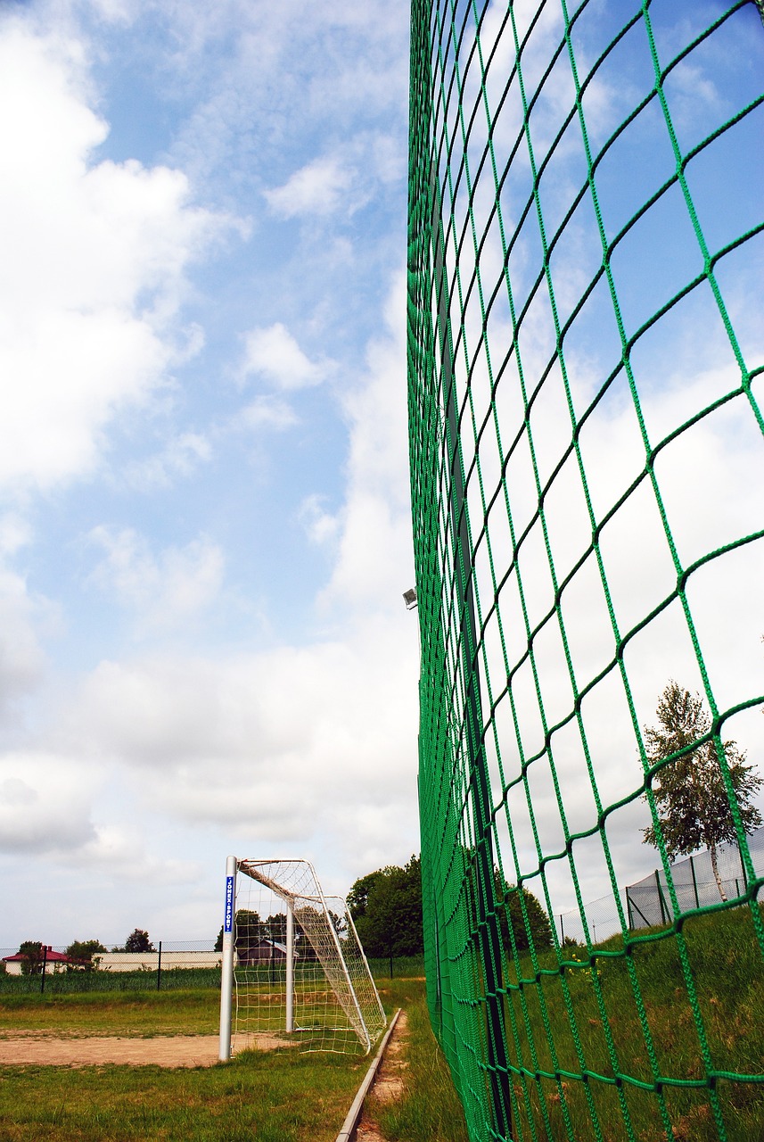 文化保护与 文化保护与