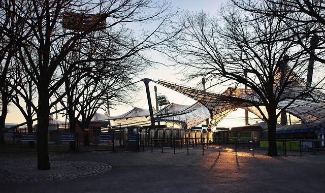 毽子运动的 毽子运动的