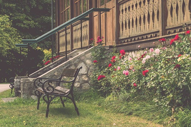 众多爱好者 众多爱好者